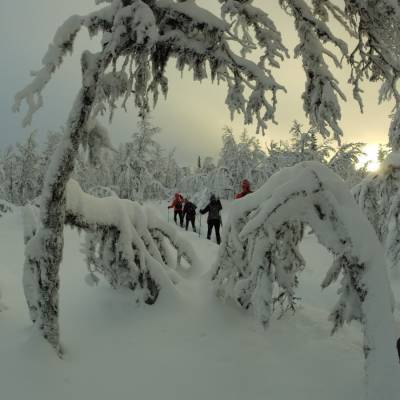 Snowshoeing  in Norway on cross country winter activity holiday (1 of 1)-2.jpg